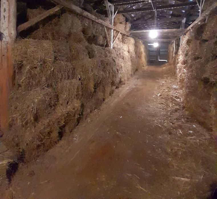 De vanzare Baloti de paie