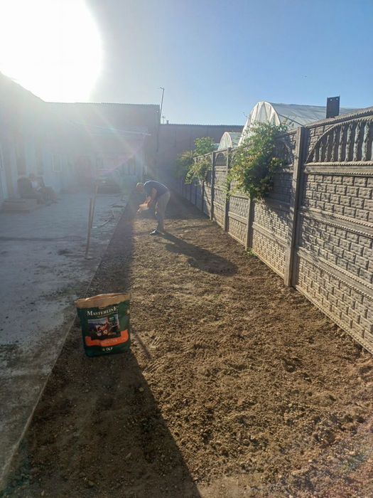 Yevro gazon sifatli va arzon