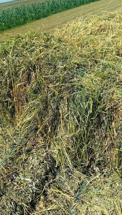 Baloti fan ,cartofi , porumb