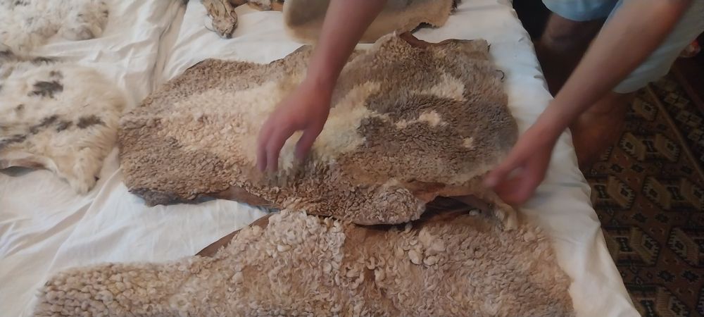 Агнешки кожи  за кожуси и чхли