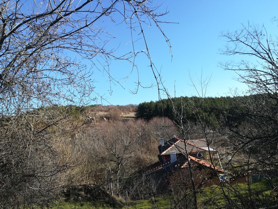 Парцел в село Мътеница