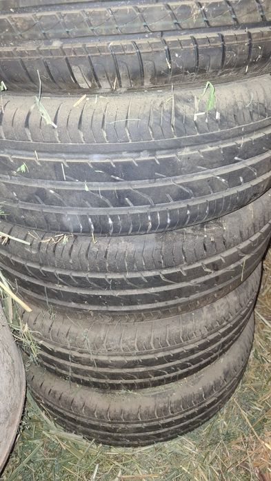 Коболть балон родной