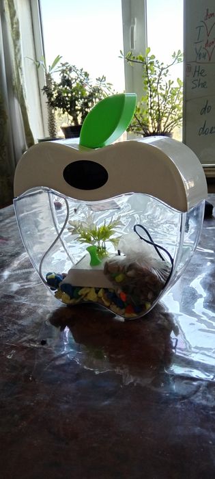 Автоматический аквариум