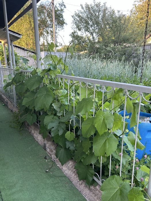 Продам уютный частный дом в Талгаре