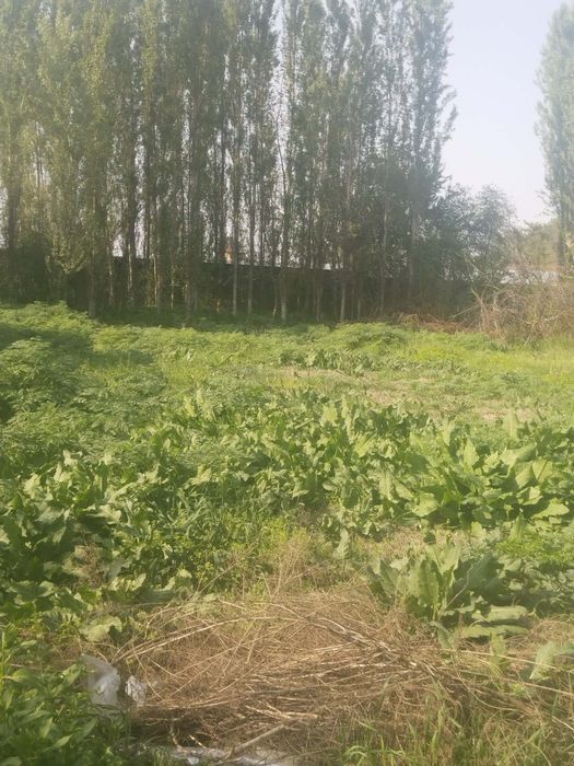 Уй сотилади хужжат бор