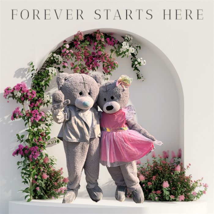 МИШКА, ТЕДИ, Зайчик Алматы