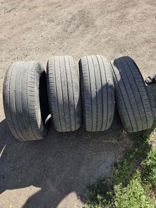 Автомобильные шины