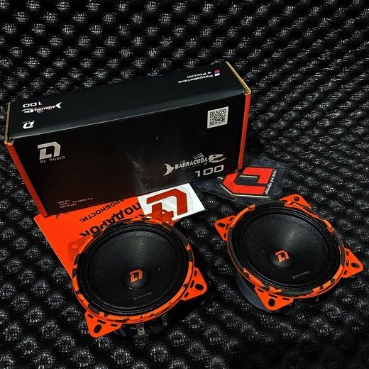 DL Audio Barracuda 100, эстрадные колонки, estradniy kolonka 10-sm