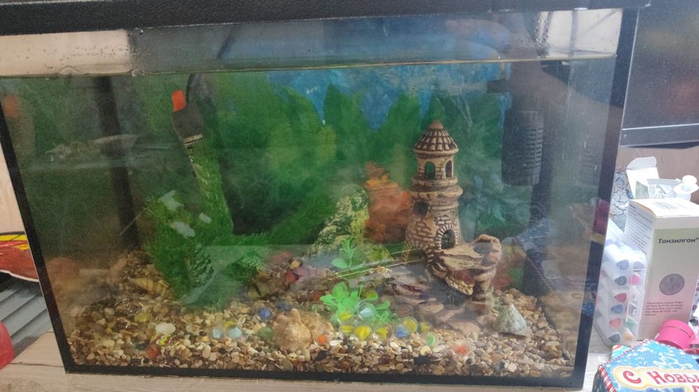 Продам аквариум 25 л.  С рыбками грунтом , обогреватель, камни, грунт.