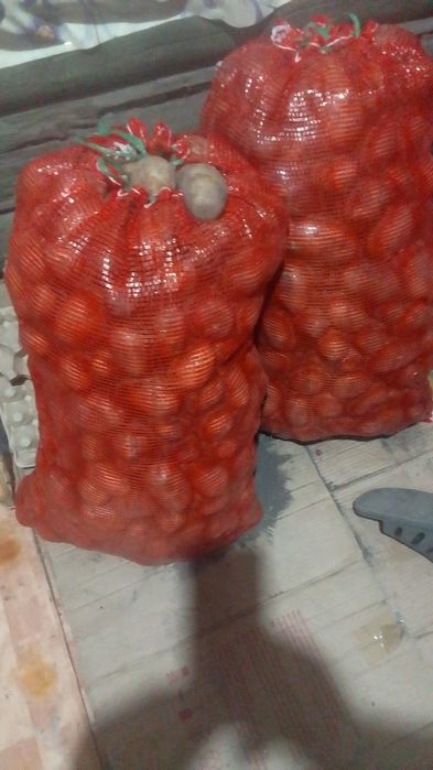 Картофель местный с доставкой до подъезда.