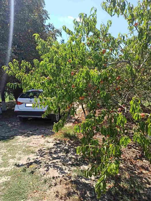 Продава се Земеделски имот в с. Къпиново, Област Добрич -  кв.м за 3296 €/дка - Снимка #1