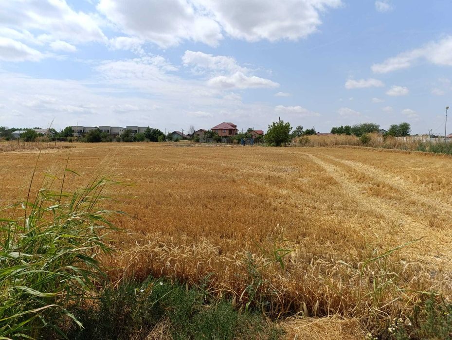 Vand Teren Intravilan 1040mp in Bragadiru