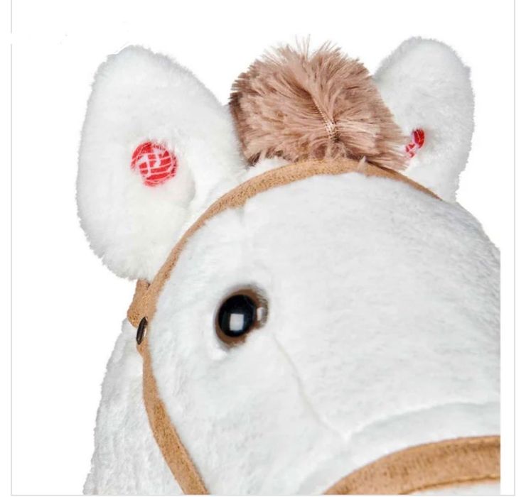 Люлеещо се конче