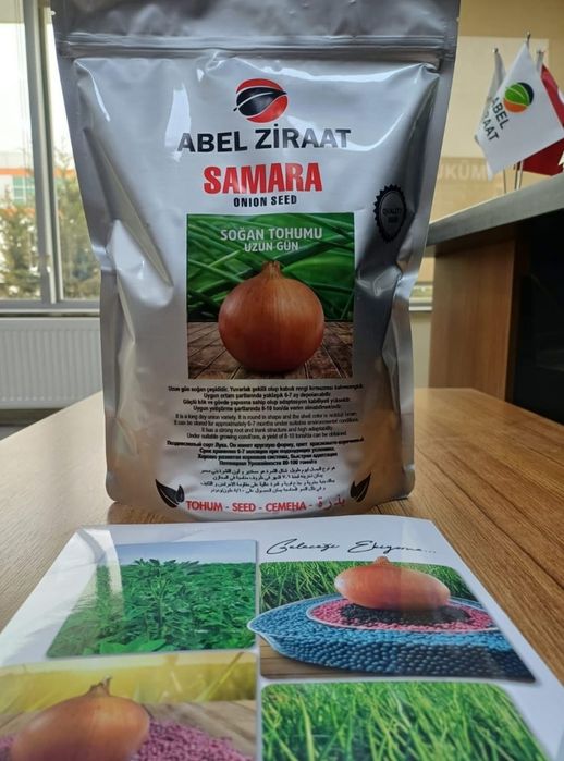 Продаю семена лука оригинал