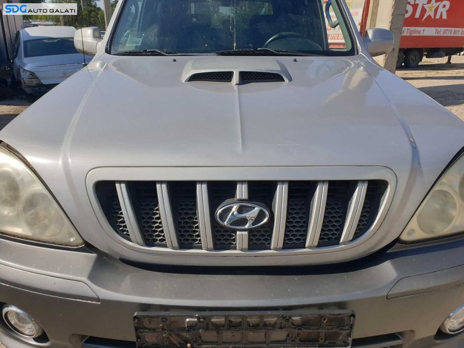 Grila cu Sigla Emblema de pe Capota Motor Hyundai Terracan 2001 - 2007 [C2726]