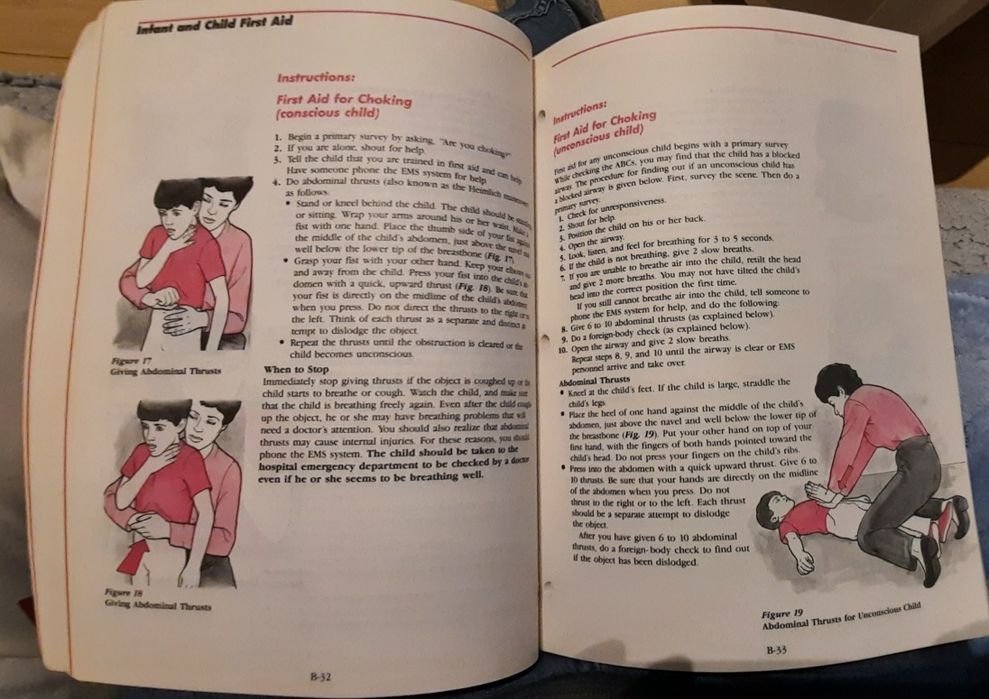 Carte American Red Cross Child Care Course workbook