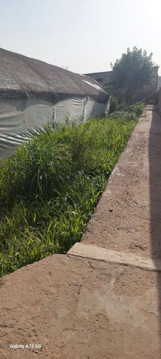 Уй сотилади Термиз аерапорт томонда