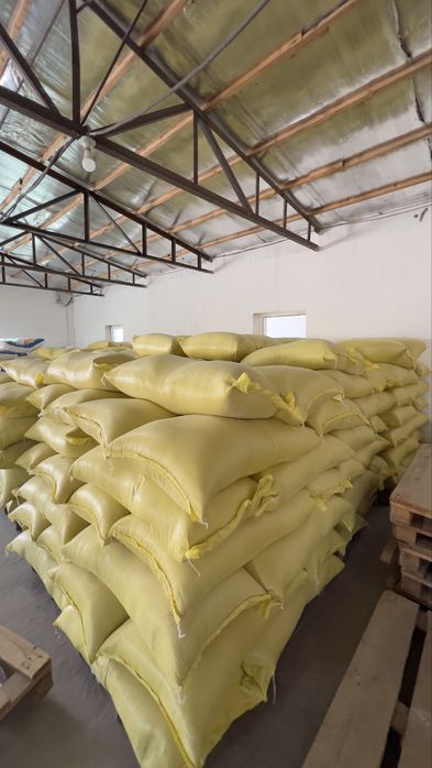 Bug’doy kepak sotiladi