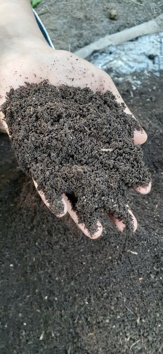 Биогумус табиғи тыңайтқыш