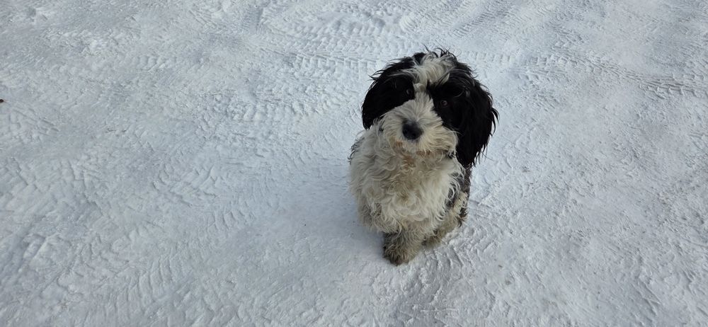 Пристраивется девочка молодая