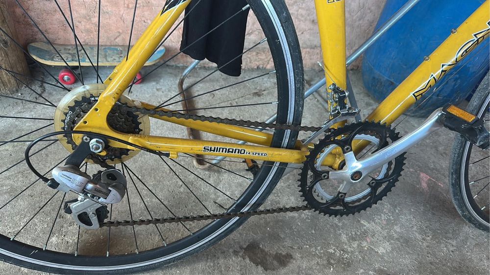 Vand cursiera magnum shimano