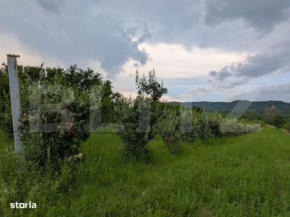 Vand teren intravilan, in Voinesti