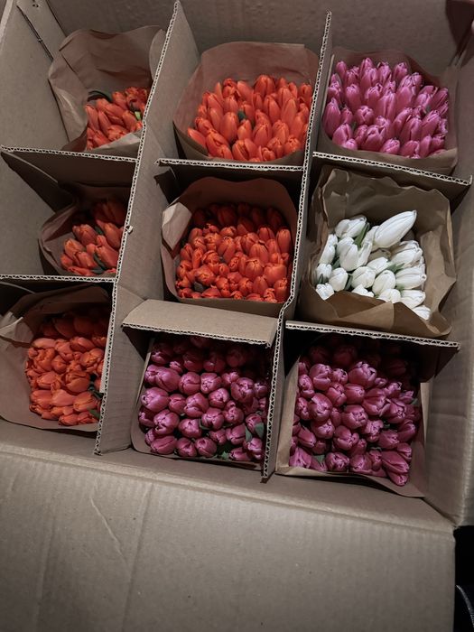 Тюльпаны на 8 марта