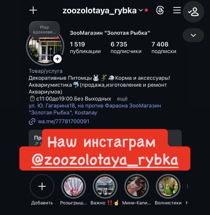 Кореллы Молодые Птенцы