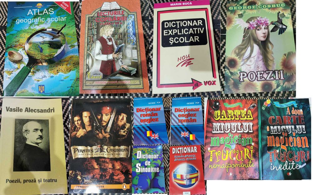 Cărți dicționare și reviste - copii adolescenți adulți diverse