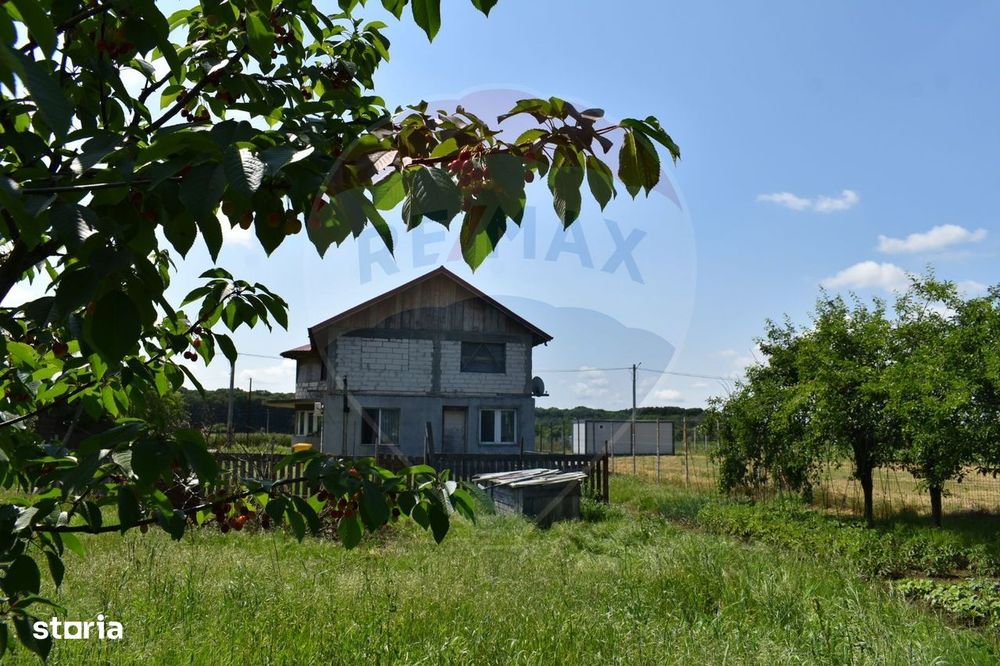Vilă în Țegheș, com. Domnești (IF), regim P+1, acces rapid București