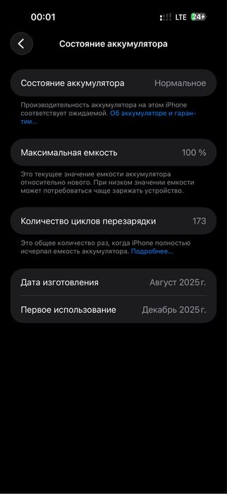 17 pro max 1T. 100%
