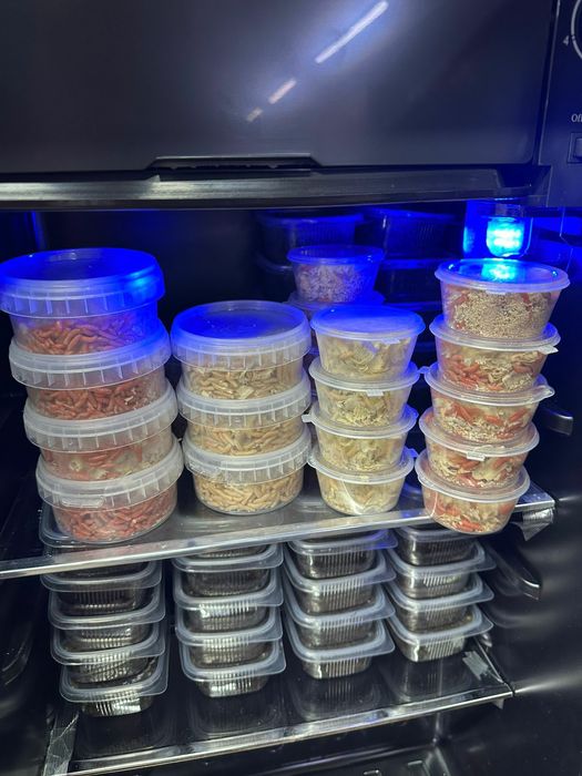 Опарыш для рыбалки