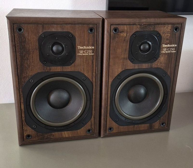 Technics SB-C250 scule boxe