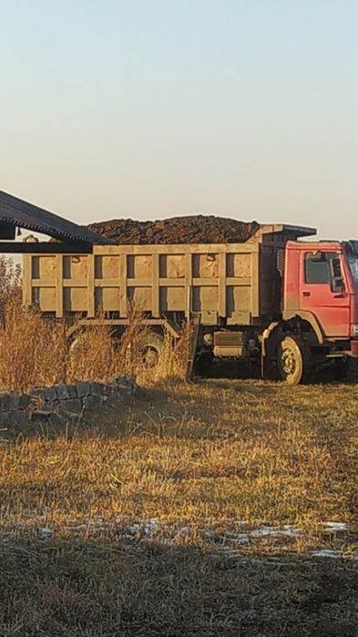 Сад яблоневый Иссык