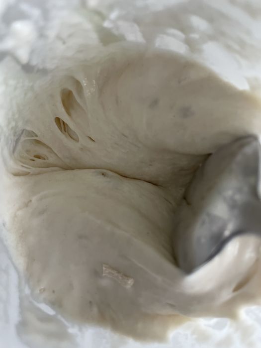 Maia salbatica activa