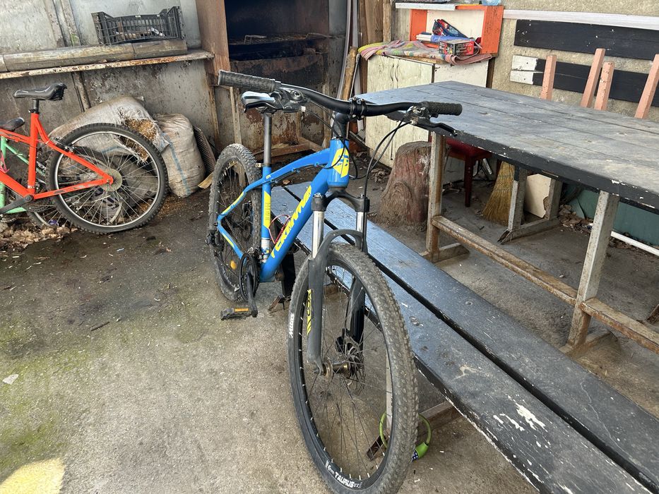 Vand URGENT bicicleta teranna dhs