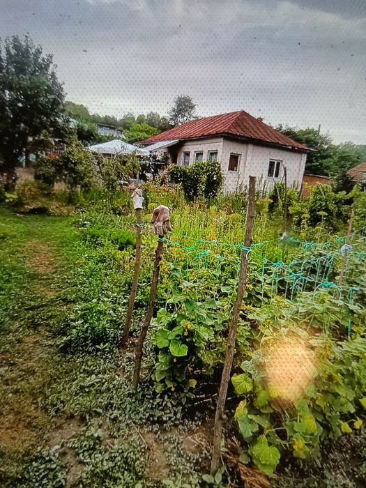 Vand două case în aceeași curte 5000mp