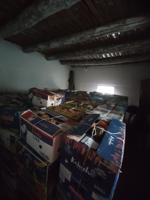 Асқабақ    тыква