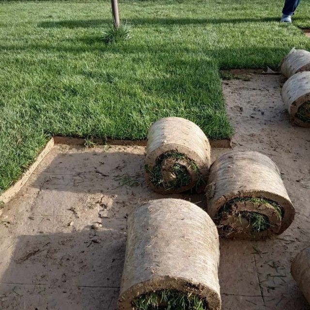 Ландшафт с нуля Полив и посадка.