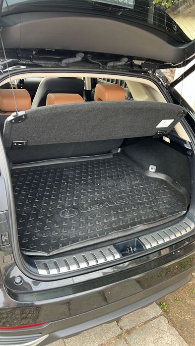 Lexus NX 300h hybrid