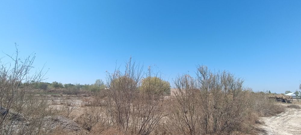 Йер сотилади 6 сотих