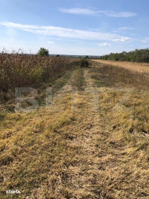 Teren 3222 mp, zona Dragomiresti