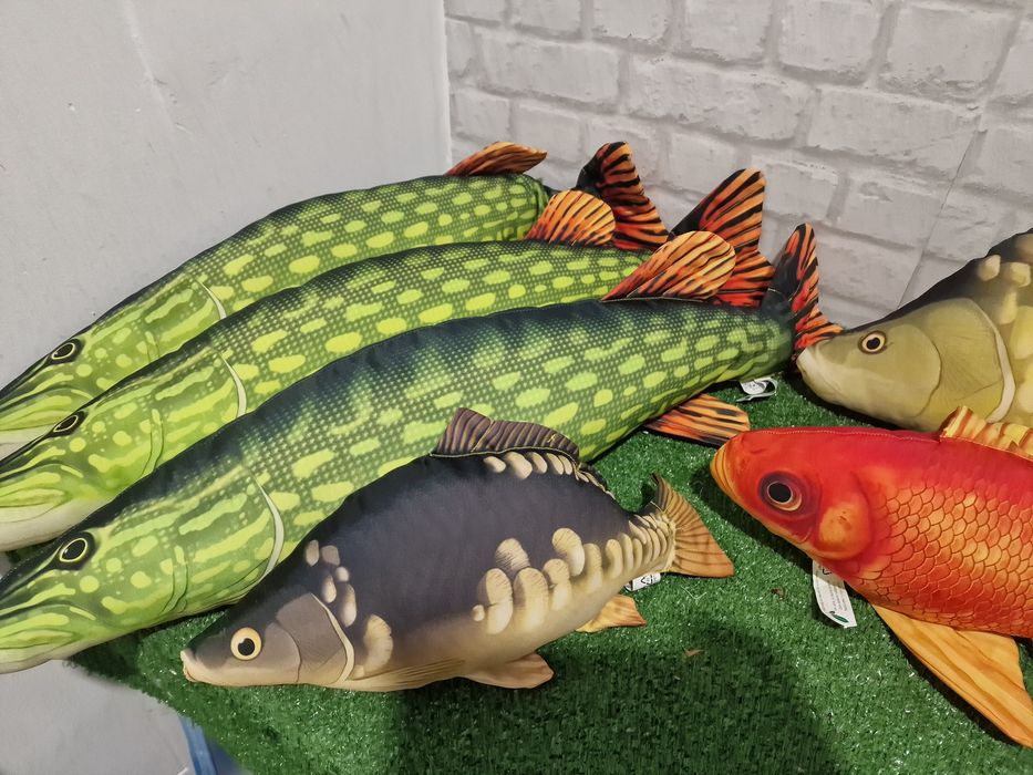 Възглавници риби разнообразие