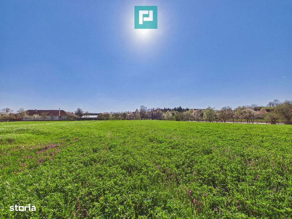 Teren intravilan 3024 mp, în comuna Almaș, Arad