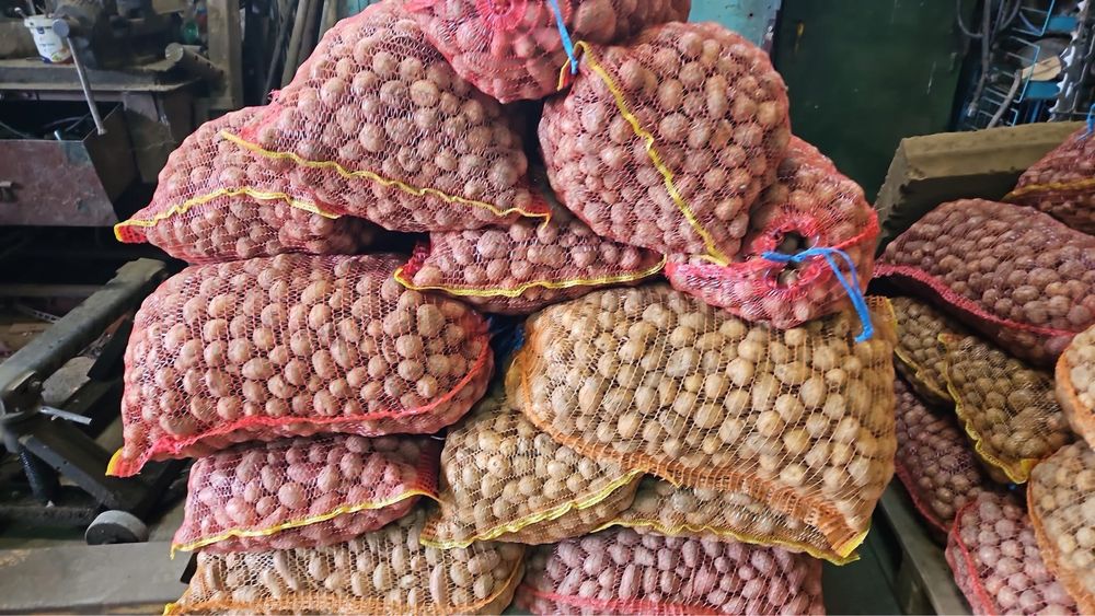 Cartofi pentru animale