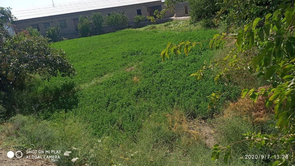 Yer uchastkasi sotiladi