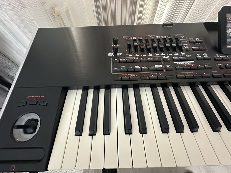 Korg pa4 x international 76 key