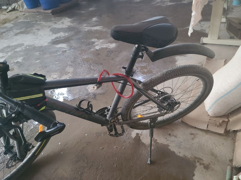 Acura sport velosipedi oganimga 3 oy bogan pup kereligiga sotvomman