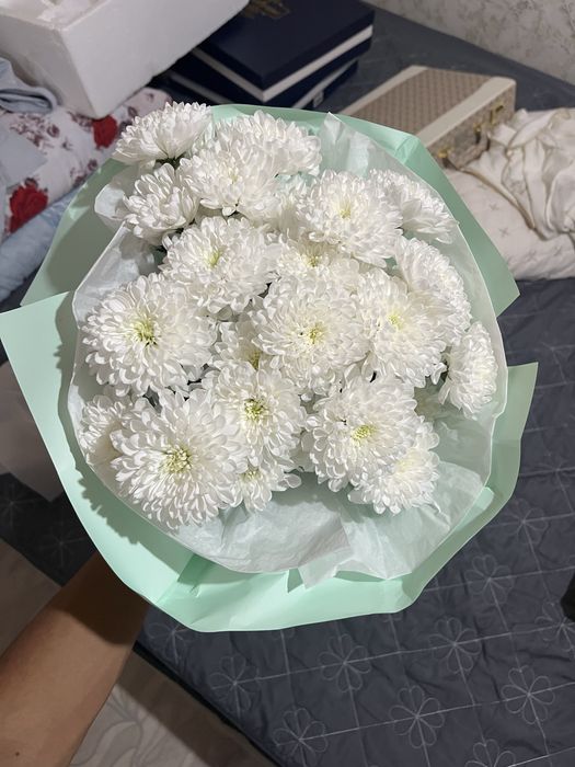 гул сатылады срочно