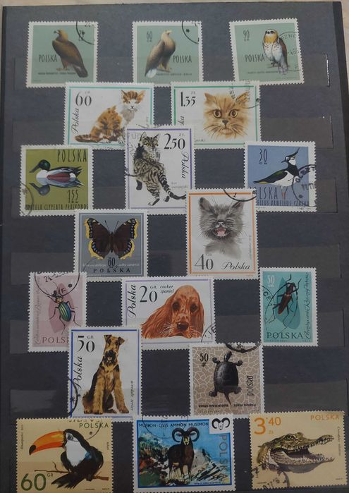 Timbre si colite straine fauna